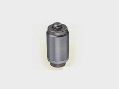 BENZ Valve Plunger from China